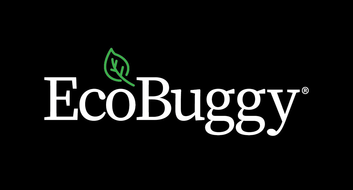 Load video: EcoBuggy