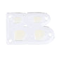 Bed Bug Glue Trap